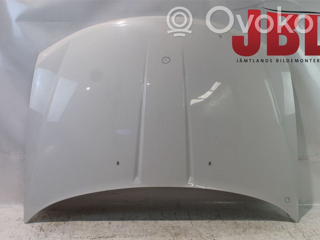 Dodge Journey Konepelti 