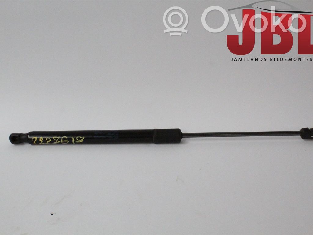 Tailgate strut   8U0827552B