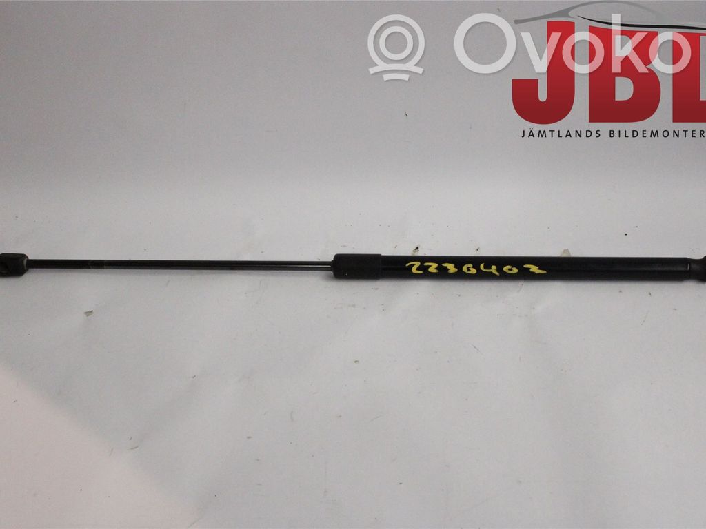 Tailgate strut   31395607