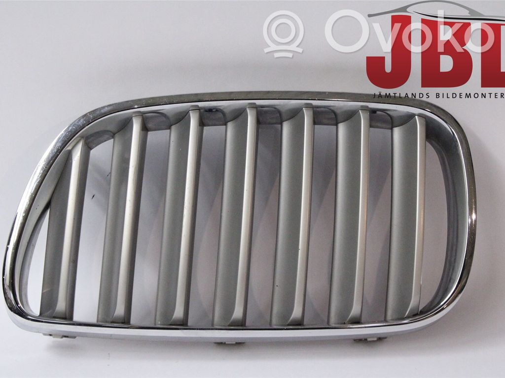 BMW X3 E83 Front bumper lower grill 