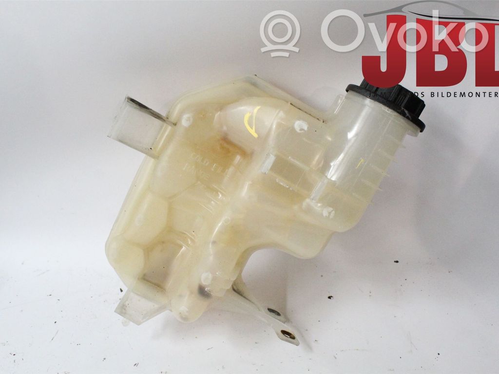 Land Rover Discovery 4 - LR4 Vas expansiune/rezervor lichid de răcire 