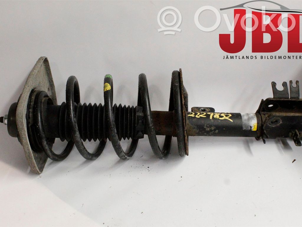 Front shock absorber with coil spring   5202PH