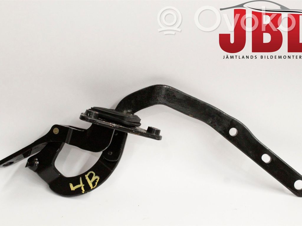Tailgate/trunk/boot hinge   8643156