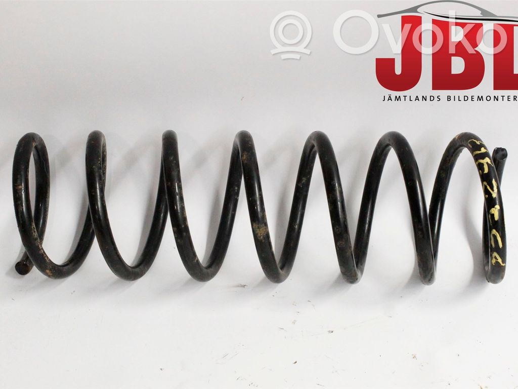 Rear coil spring