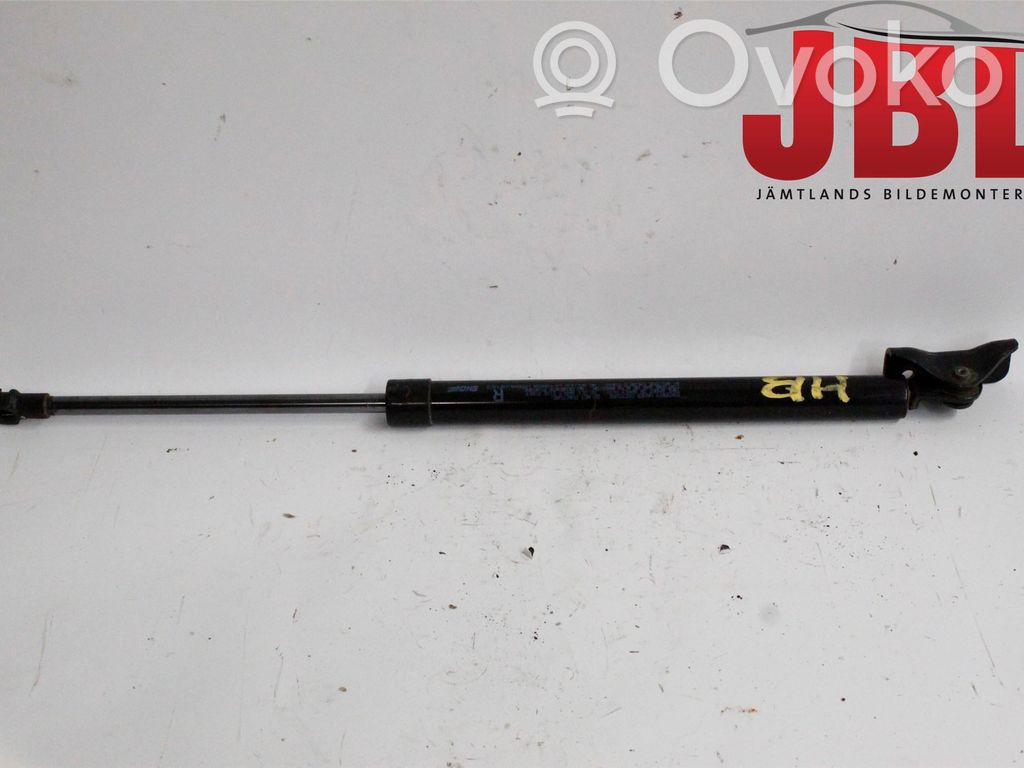 Tailgate strut   5802A666
