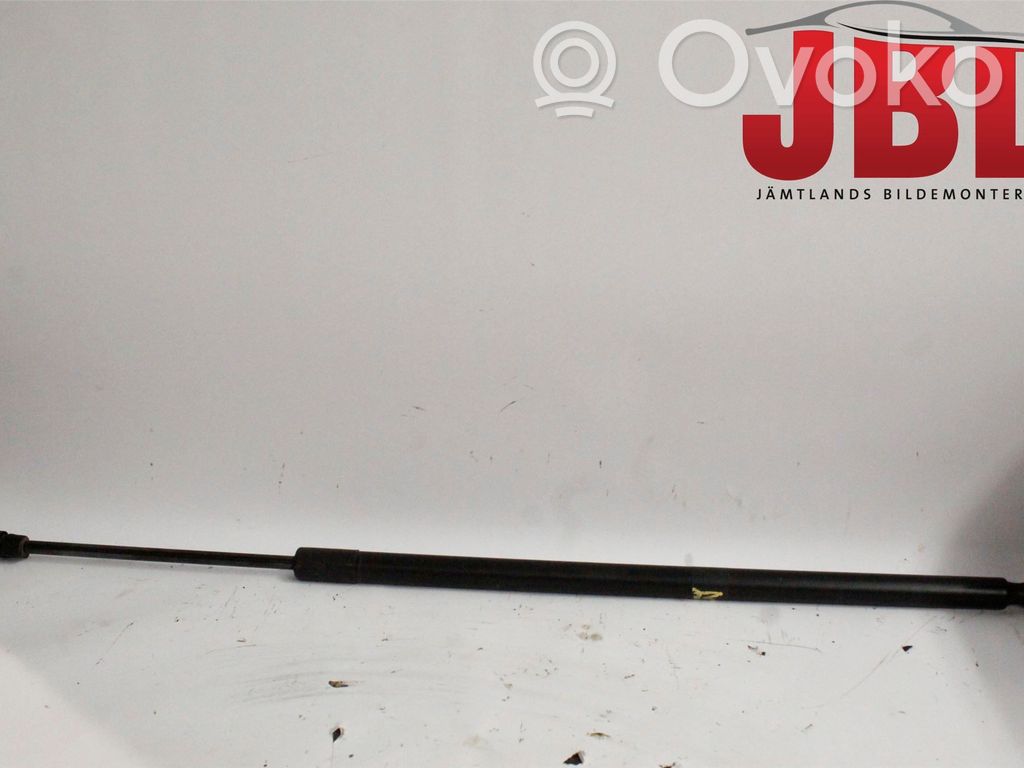Tailgate strut   2065247