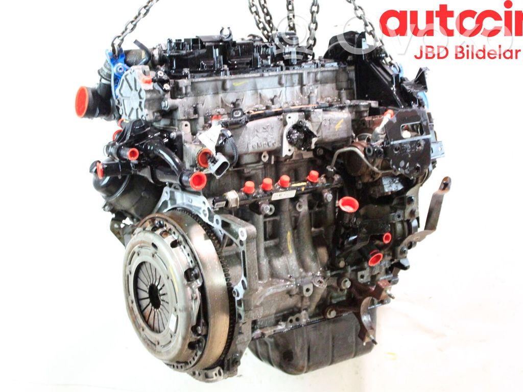 Motor   36050493