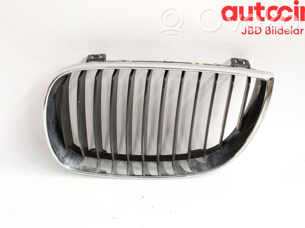 Front bumper lower grill   51137077129