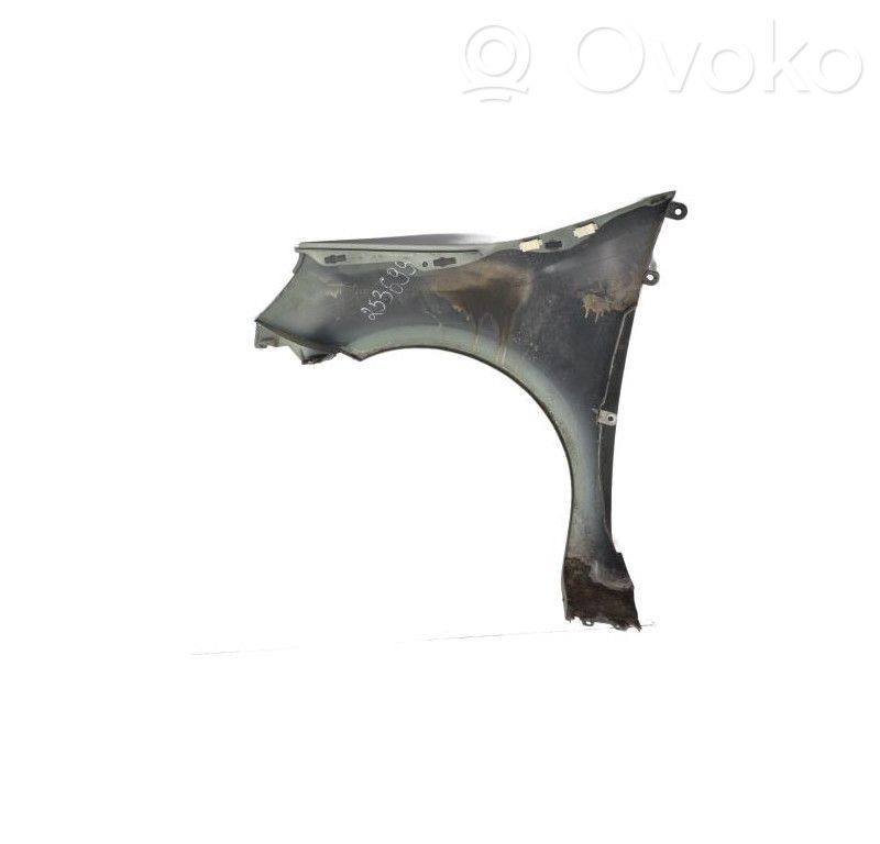 Renault Modus Sparnas 