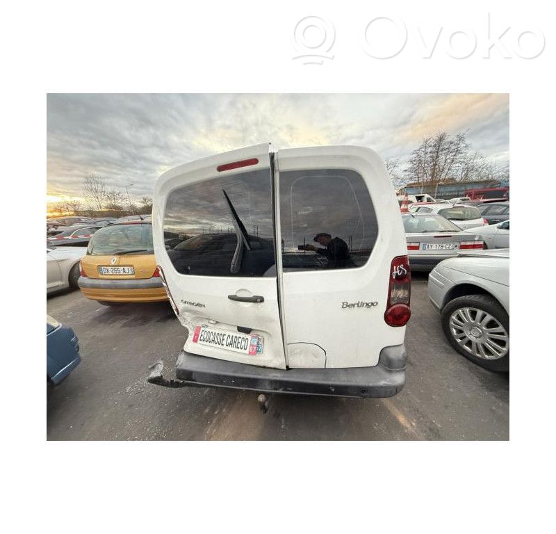 Citroen Berlingo Back/rear loading door 