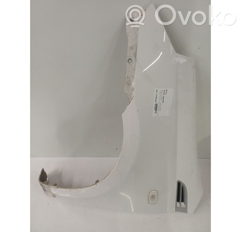 Guardabarro   95198279