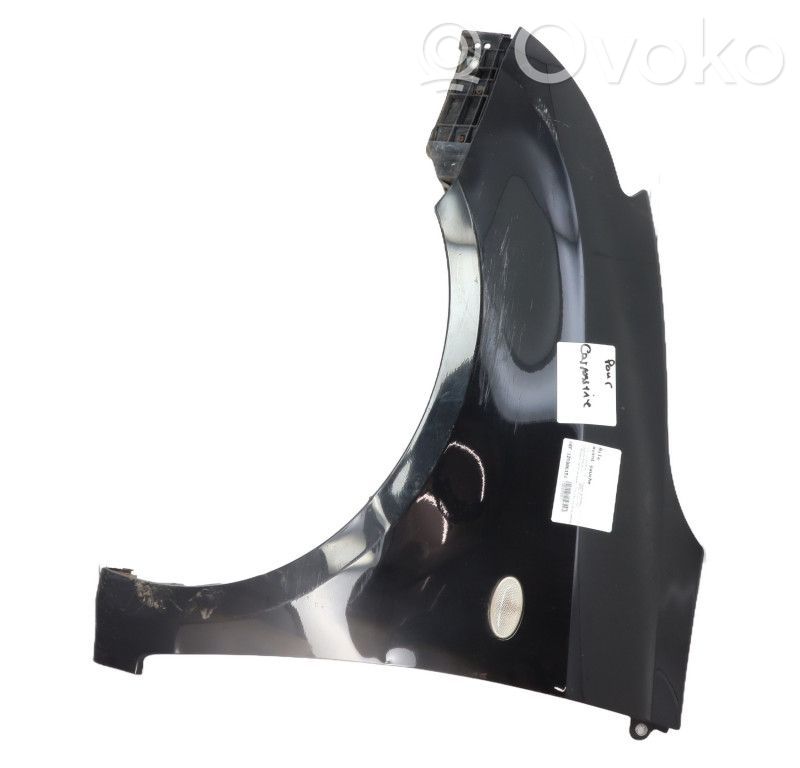 Guardabarro   5771163J20
