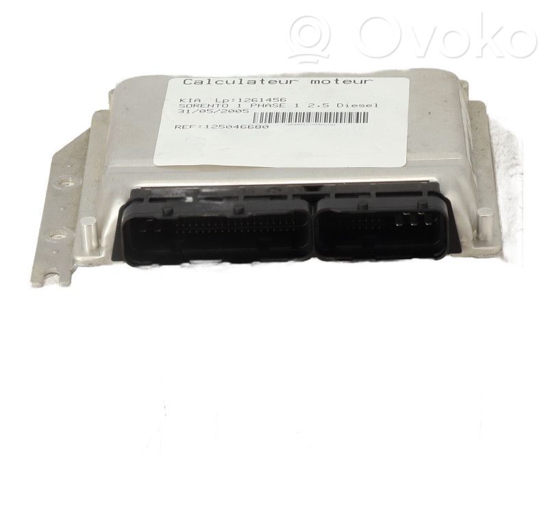 Engine control unit/module   391004A810