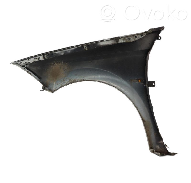 Renault Megane II Guardabarro 