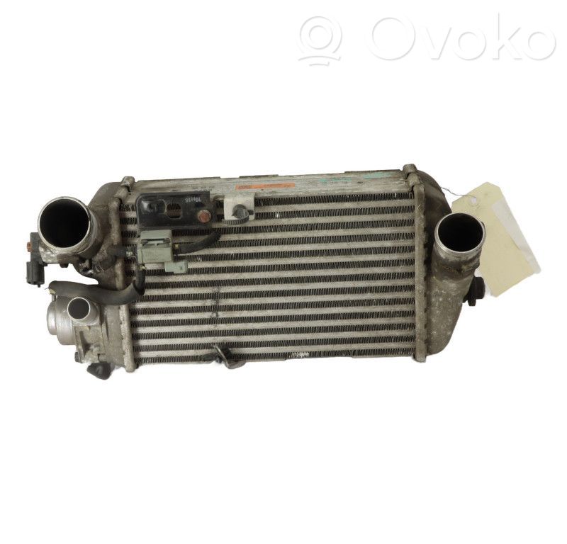 Radiador intercooler