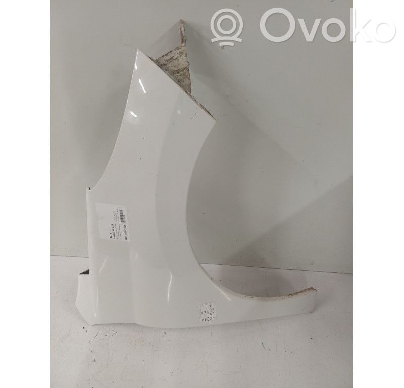 Guardabarro   7841V0