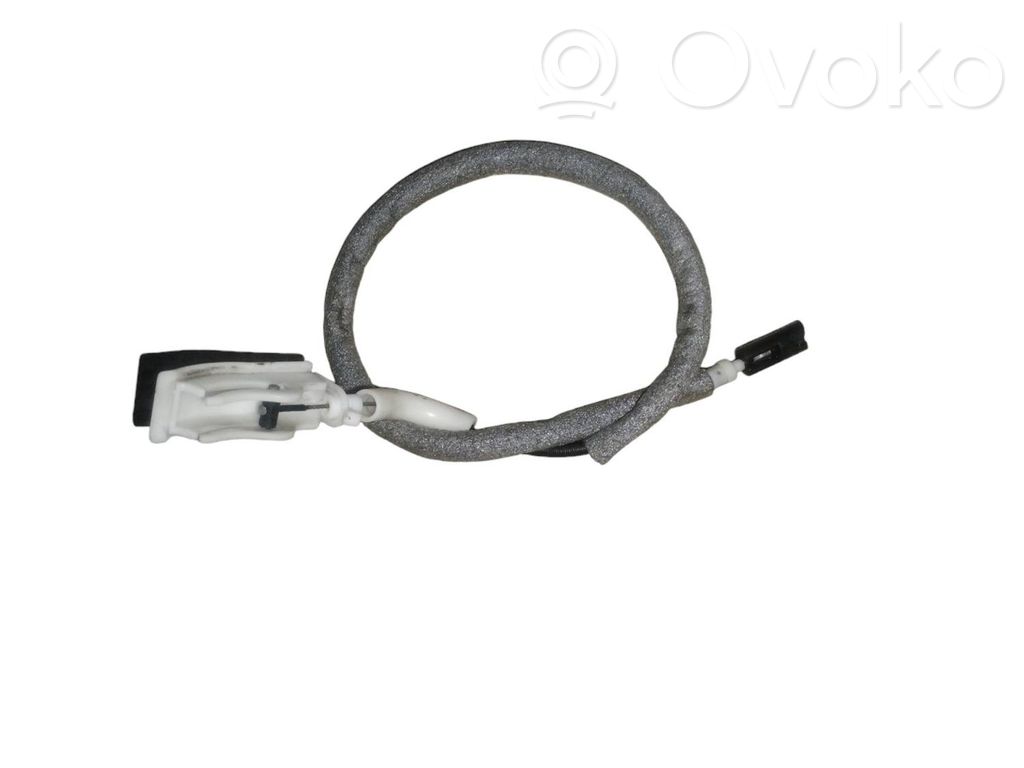 Trosīte   7137107