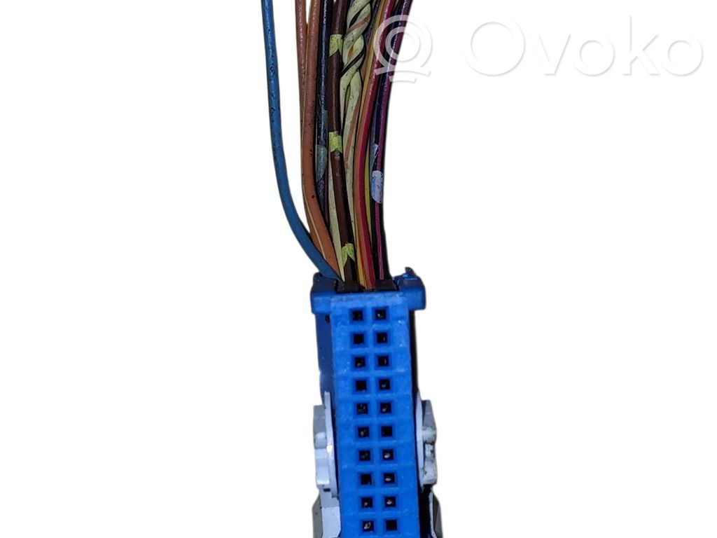 BMW X5 F15 Otros cableados 