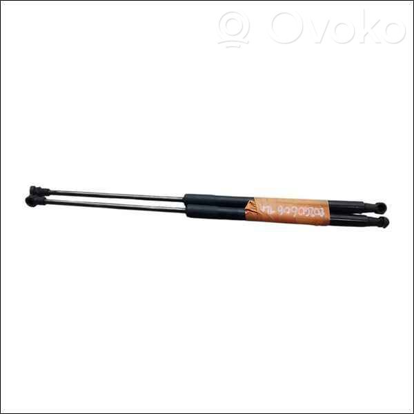 Tailgate/trunk strut/damper   B000877780,20240606,7294888,VDMS10