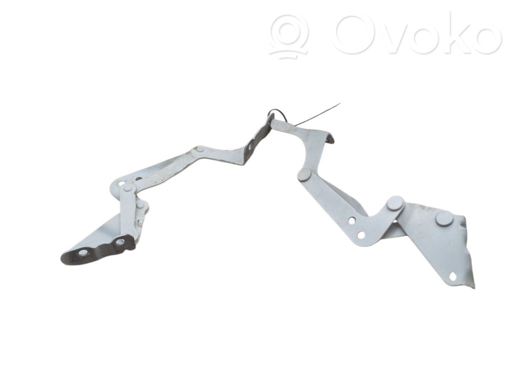 Peugeot iOn Dzinēja pārsega eņģe (-es) 