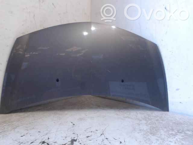 Renault Clio III Engine bonnet/hood 