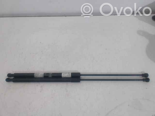 Citroen C6 Ammortizzatore portellone anteriore/cofano 