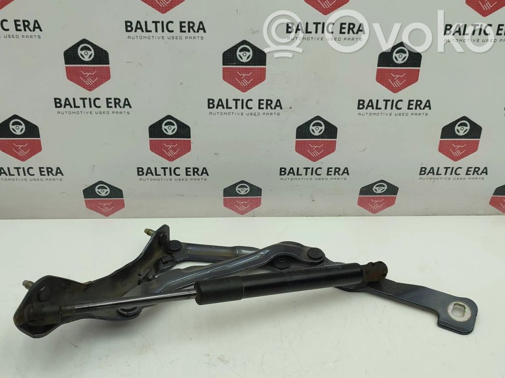 Tesla Model 3 Tailgate/trunk/boot hinge 