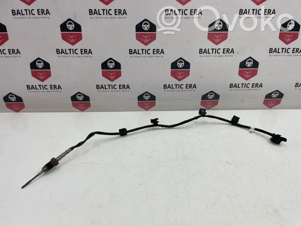 BMW 5 G30 G31 G38 Exhaust gas temperature sensor 