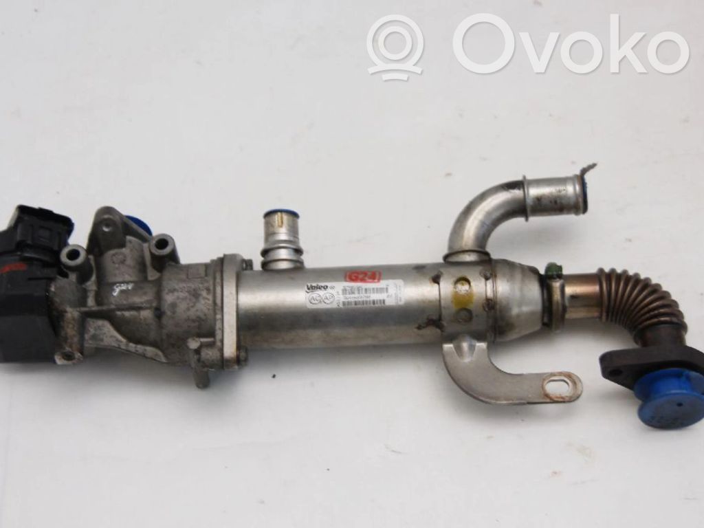 Válvula EGR   9645689780,9645689780,1233381,1233381,9645689780