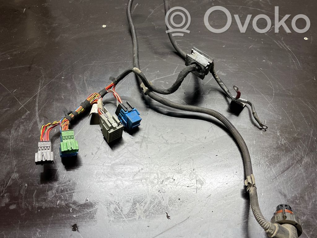 Other wiring loom   7791950,53761210