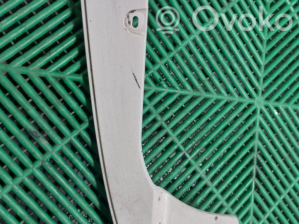 Front mudguard   8037162,0503410