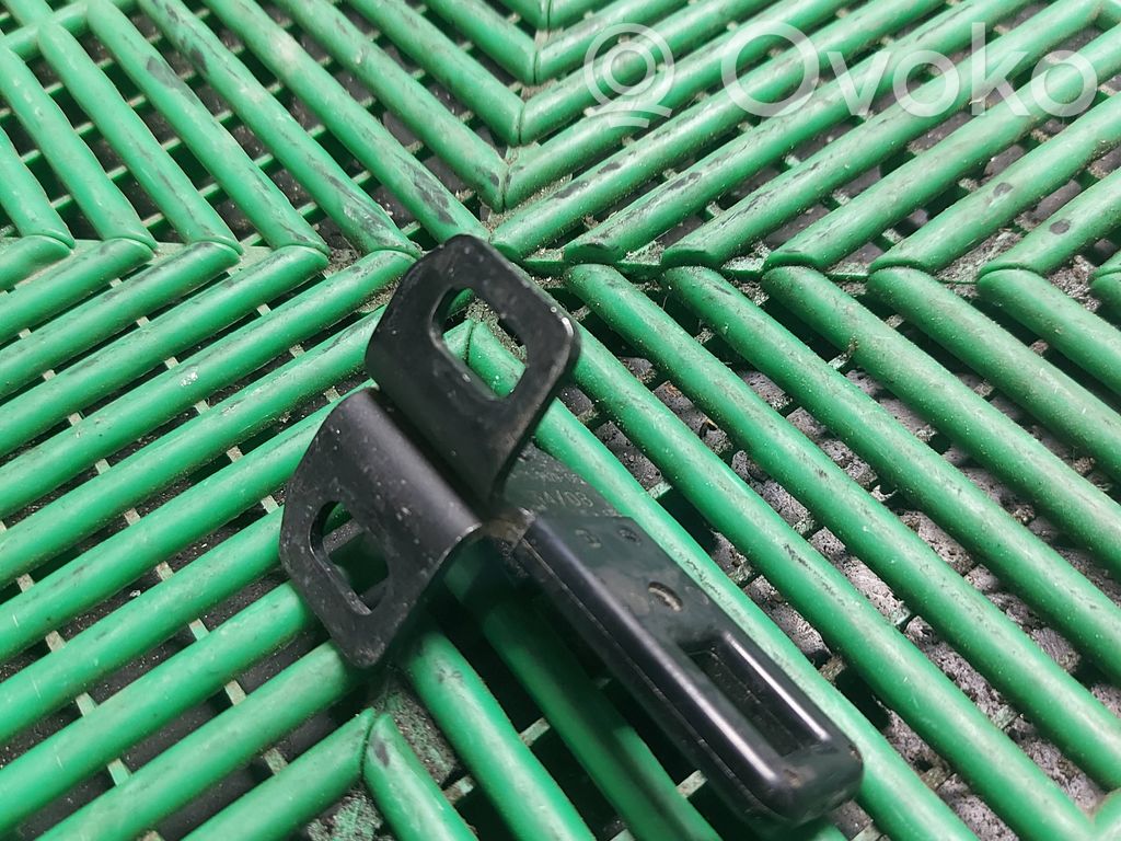 Loading door lock loop/hook striker   7149629