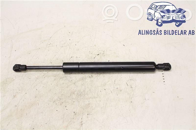 Tailgate strut   12778556