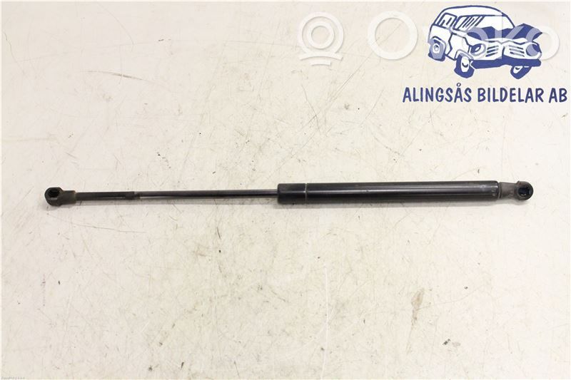 Tailgate strut