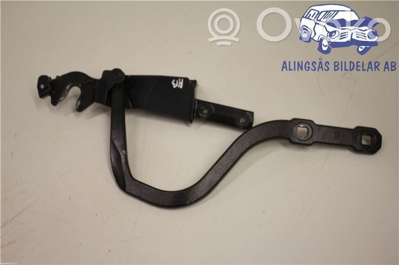 Aizmugurējā pārsega eņģe (-ess)   54377203115