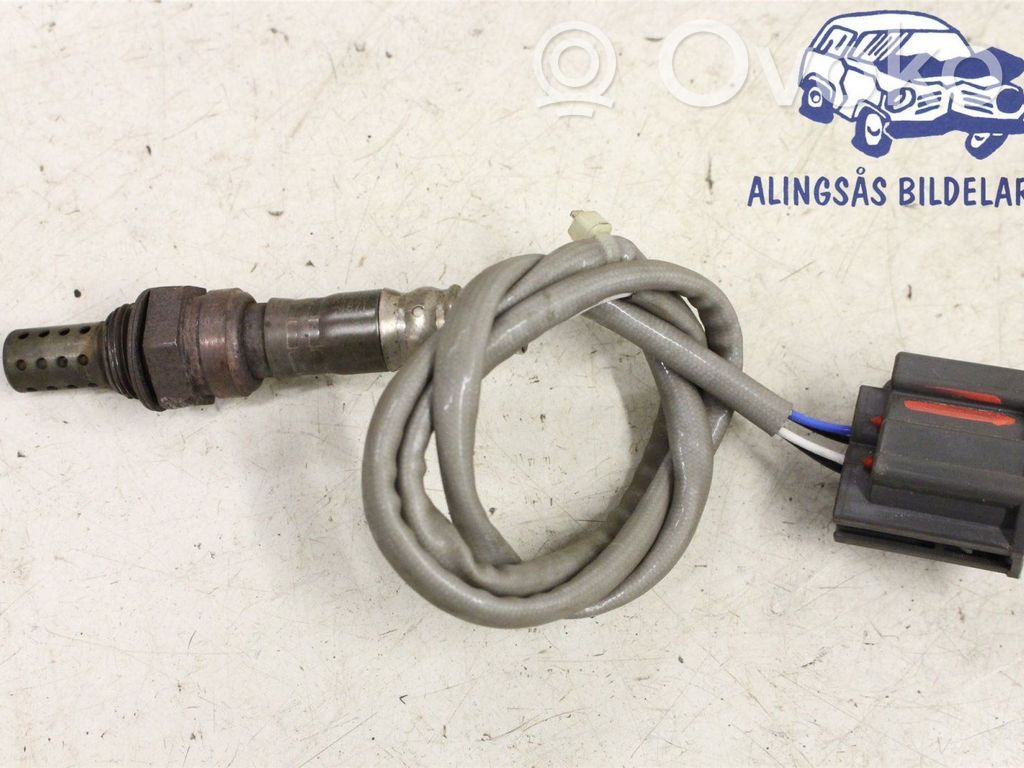 Lambda zondas   K42384871