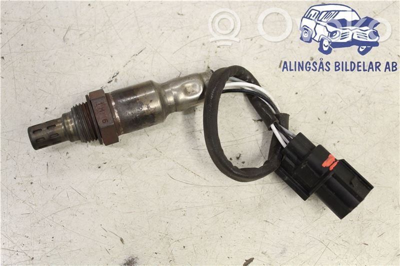 Sonde lambda   OHR635H1