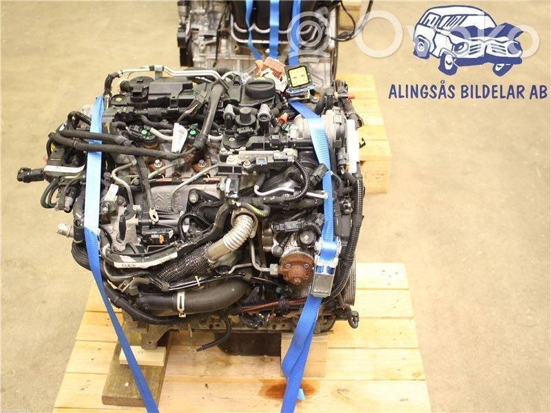 Variklis   1606279580,8HP