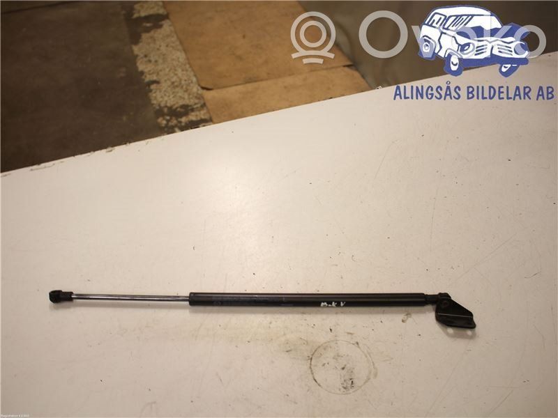 Tailgate strut   D10E63620A