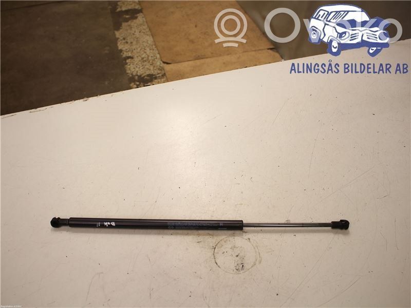 Tailgate strut   D10E62620A