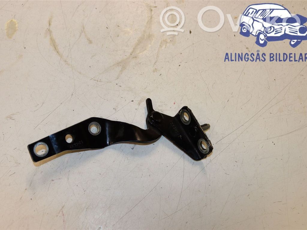 Tailgate/trunk/boot hinge
