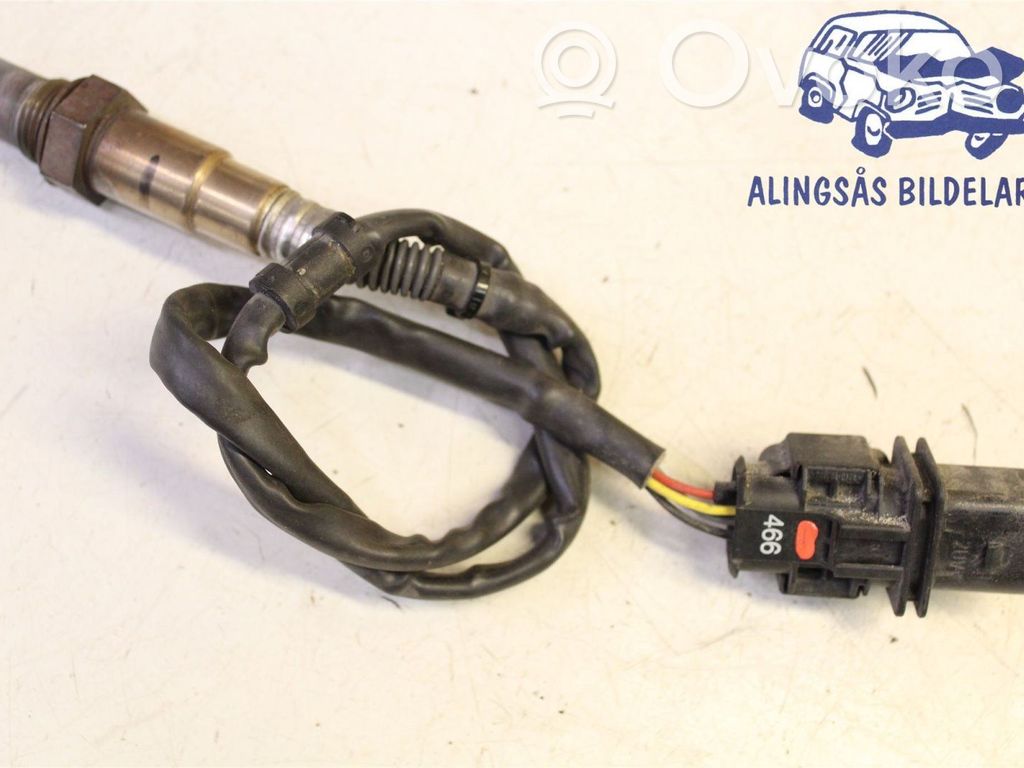 Volkswagen Tiguan Lambda zondas 
