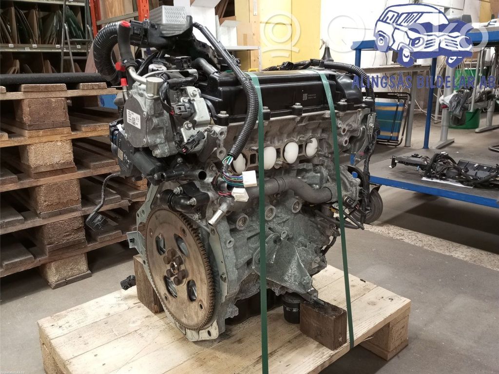 Variklis   P5Z902300D