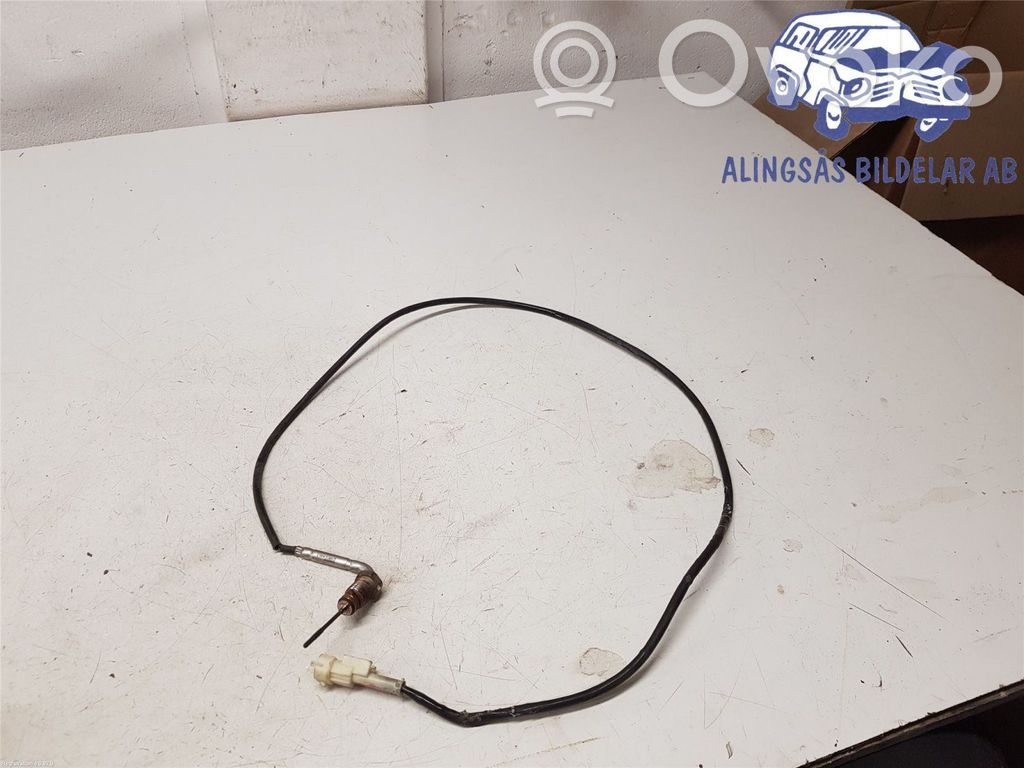 Fiat Ducato Abgastemperatursensor 
