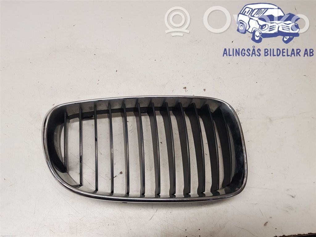 BMW 1 E81 E87 Etupuskurin alempi jäähdytinsäleikkö 