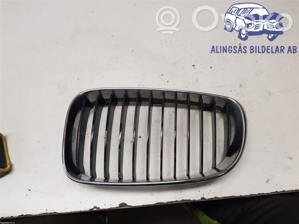 Front bumper lower grill   51137128613