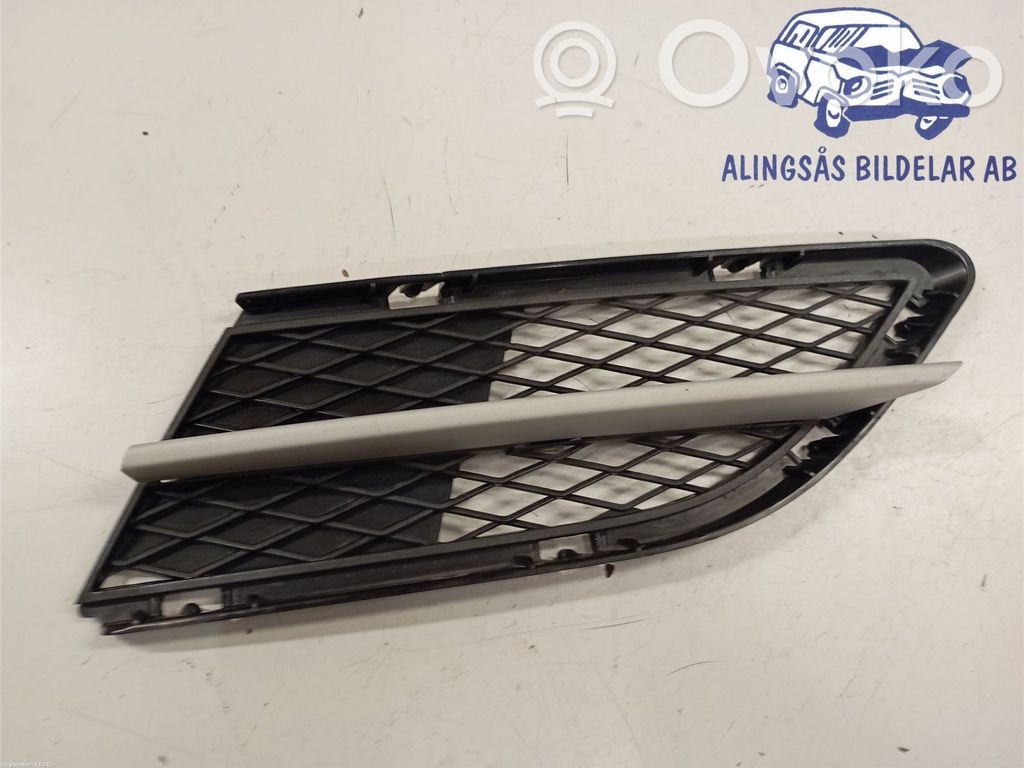 Front bumper lower grill   51117198907