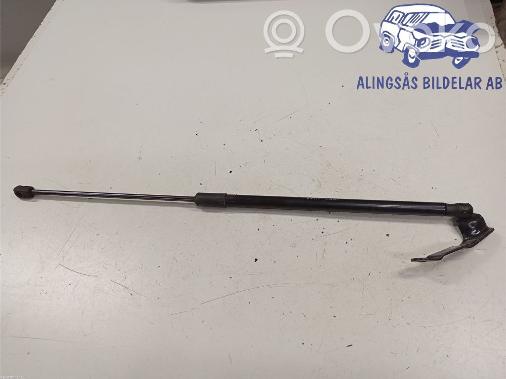 Tailgate strut   5FF827550B