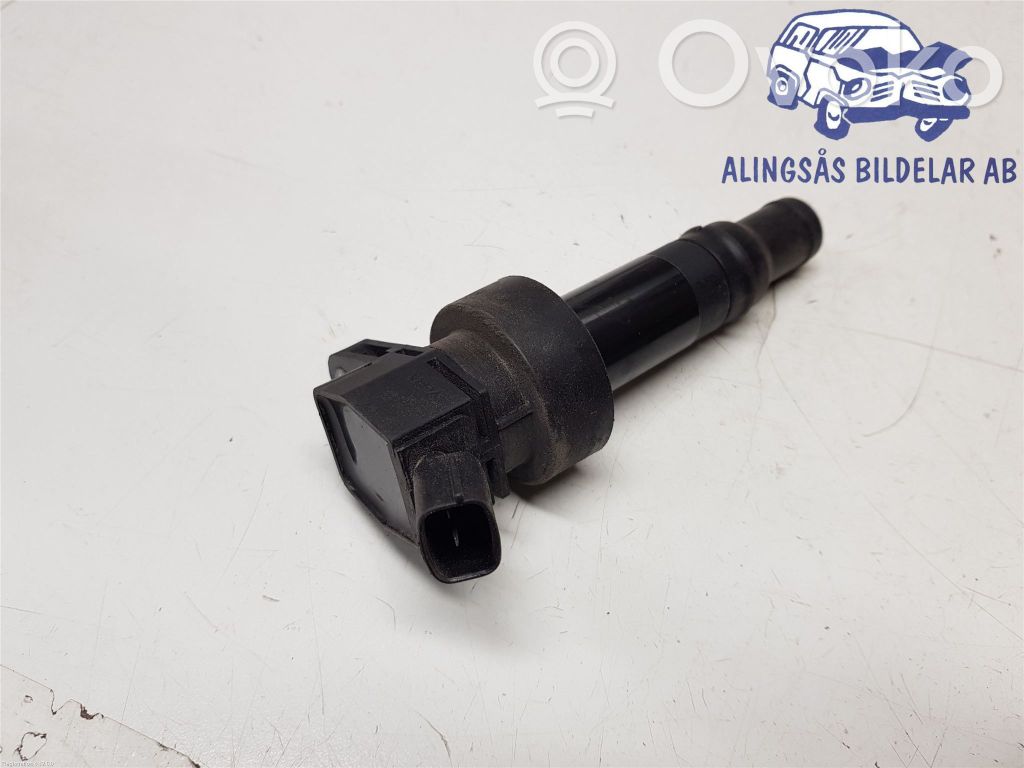 High voltage ignition coil   273012B100,273012B100,273012B100