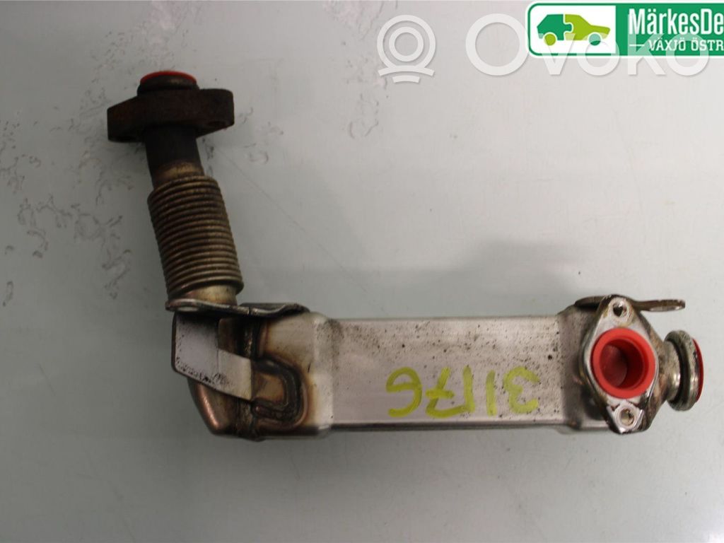 BMW 3 E90 E91 EGR aušintuvas 